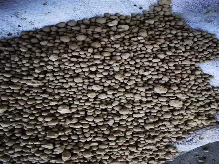 �͑���ԇ�C�ЙC�ʈA�P�����C�w��Ч���D